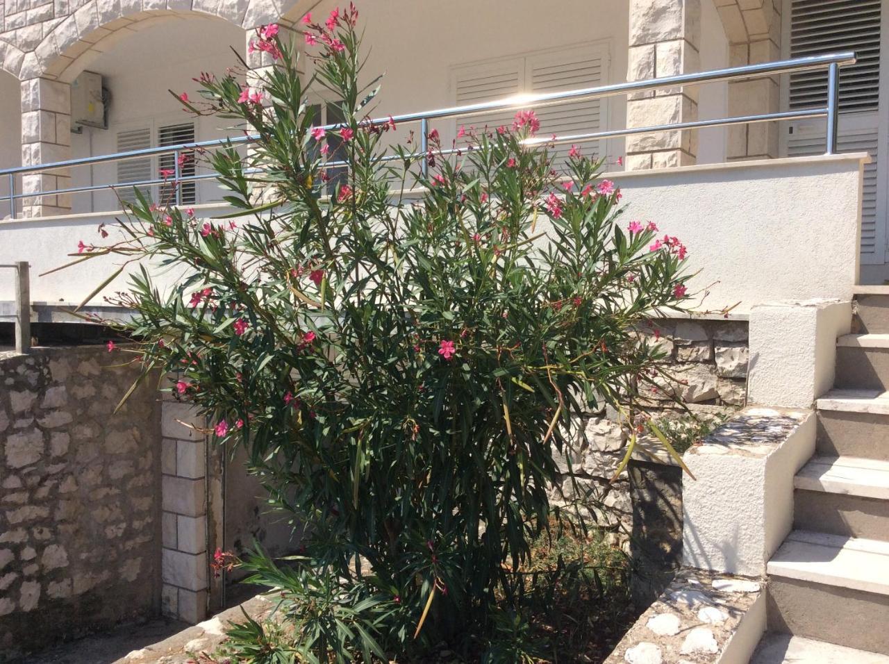 קורצולה Lux Apartments מראה חיצוני תמונה